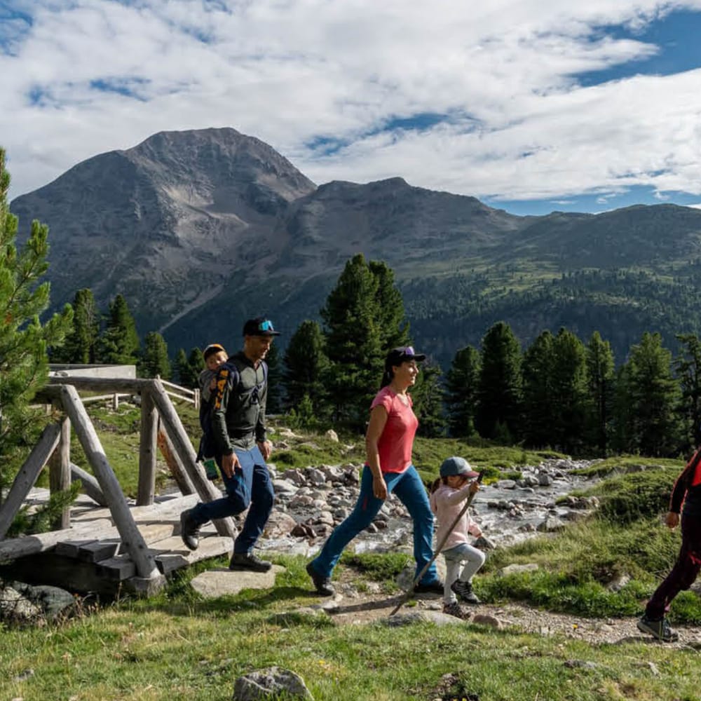 Steinbock-Paradies Pontresina