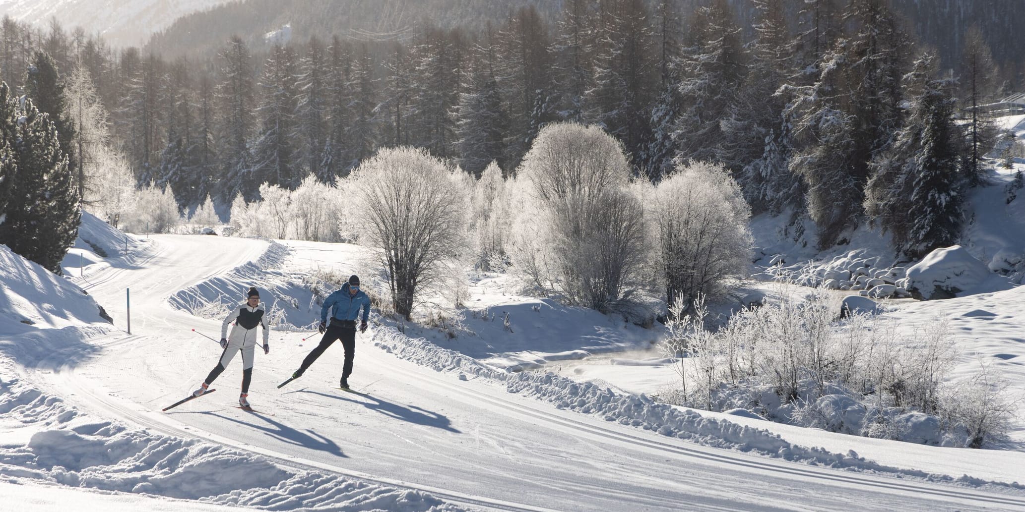 Langlaufen Pontresina