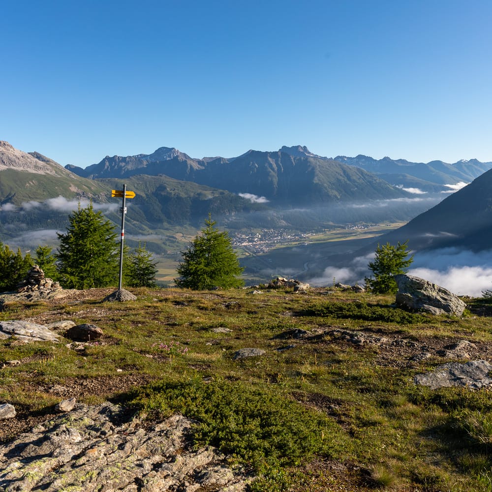 Webcams Pontresina
