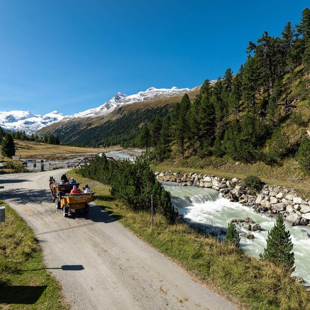 Pferdekutsche Val Roseg