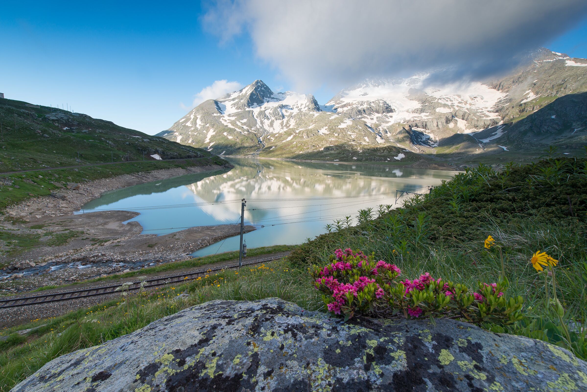 Bernina Glaciers 