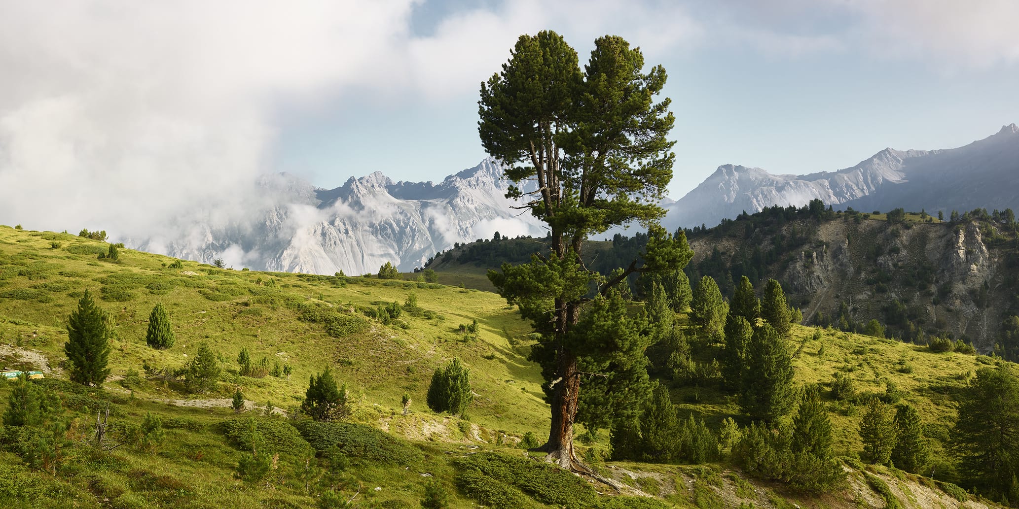 Nationalpark