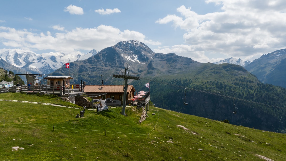 Alp Languard