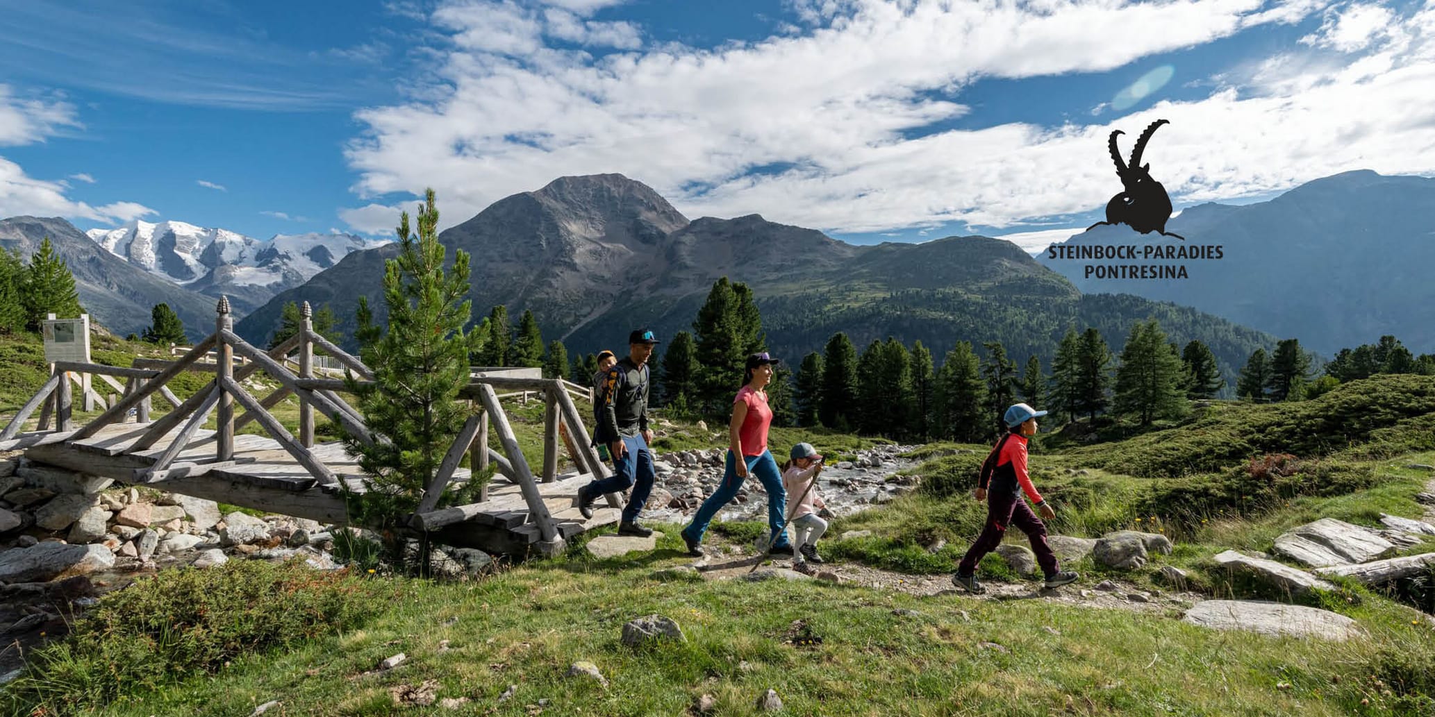 Steinbock-Paradies Pontresina