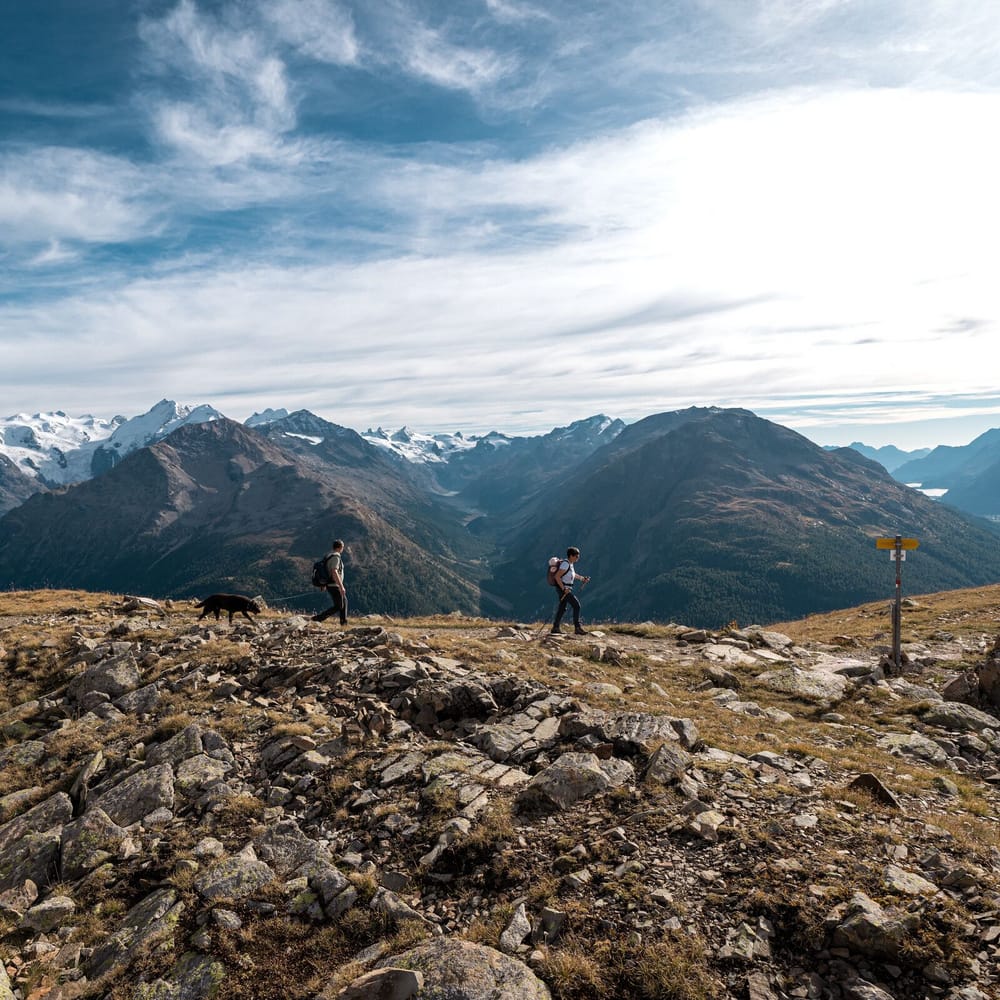 Wandern Pontresina