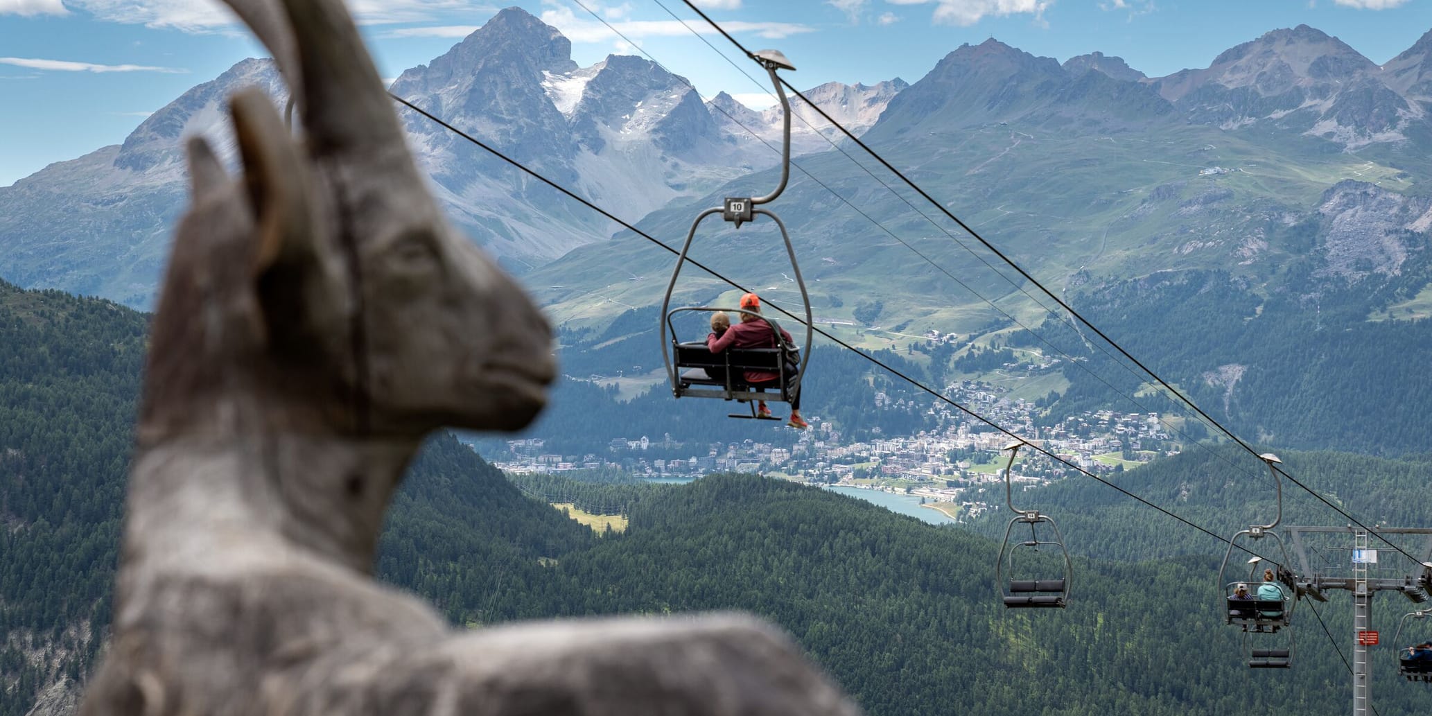 Alp Languard Steinbockparadies Pontresina