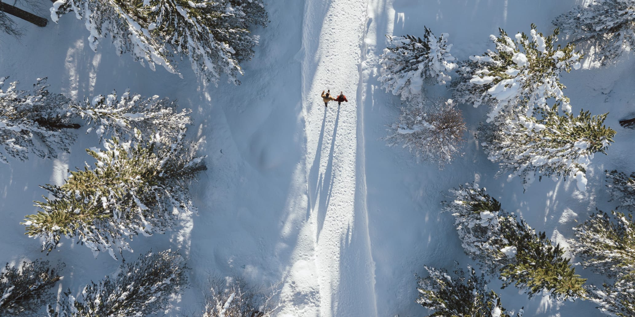Winterwandern Pontresina