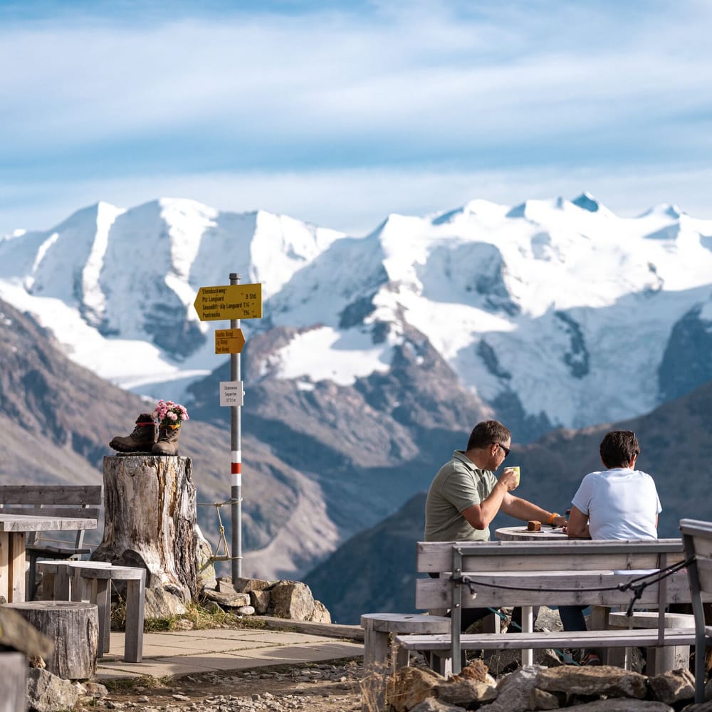 Steinbock-Pardies Pontresina