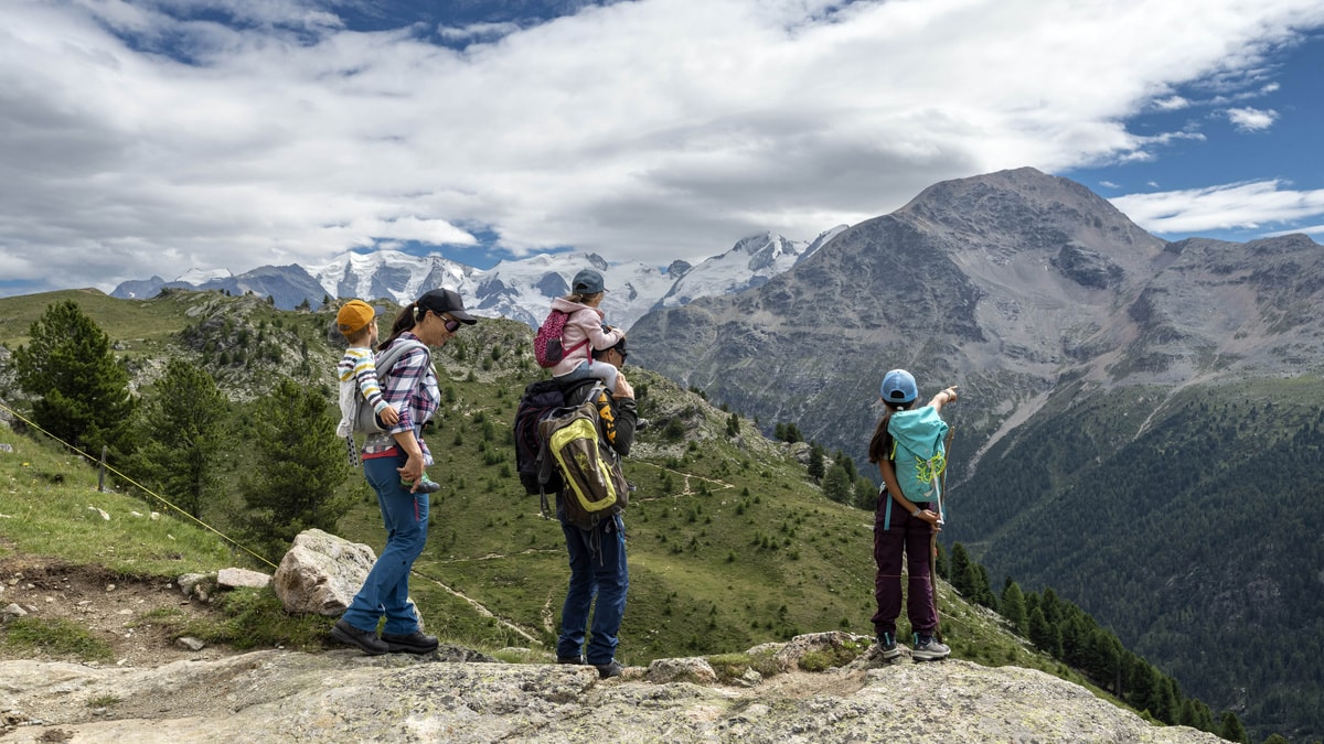 Alp Languard