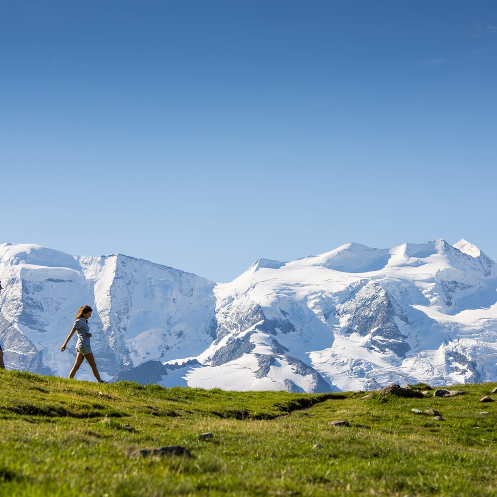Hiking Alp Languard Pontresina