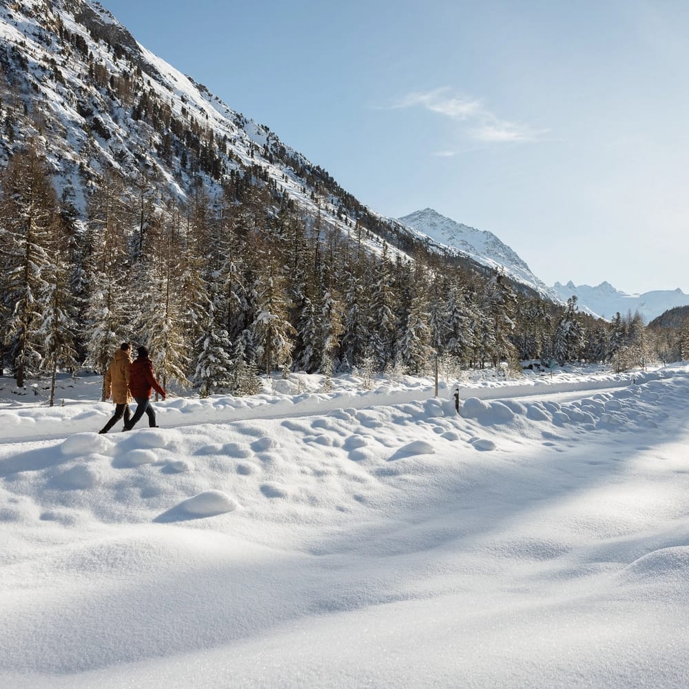 Winter Hiking in Pontresina