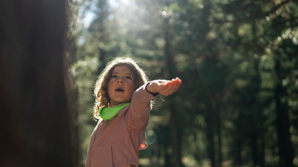 Vogelfüttern im Taiswald