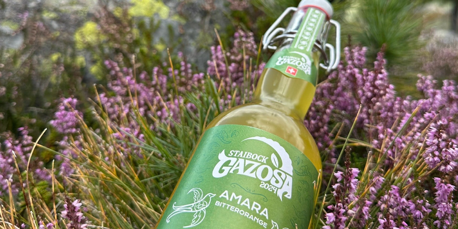 Staibock Gazosa