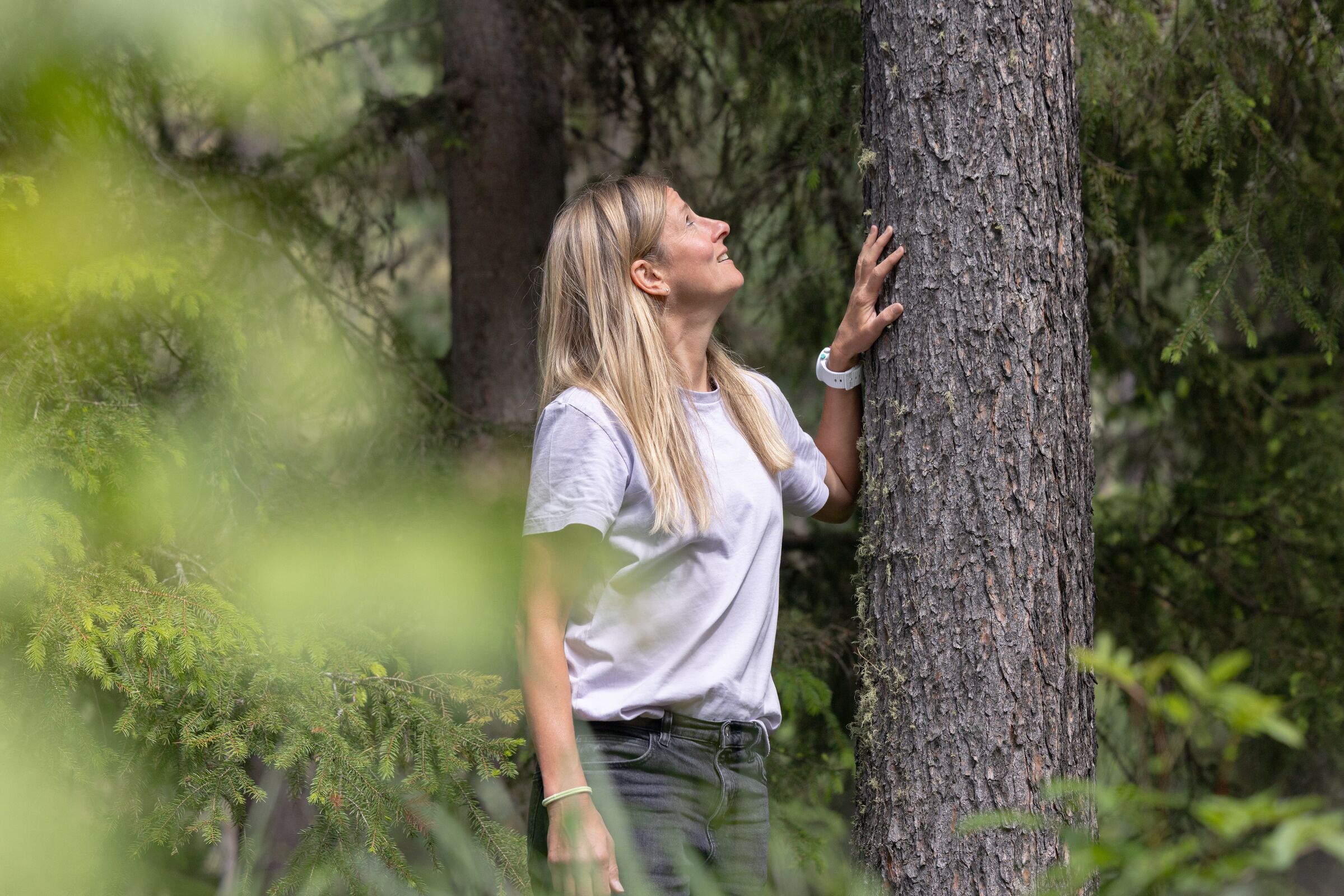 Mind Body Nature Experience