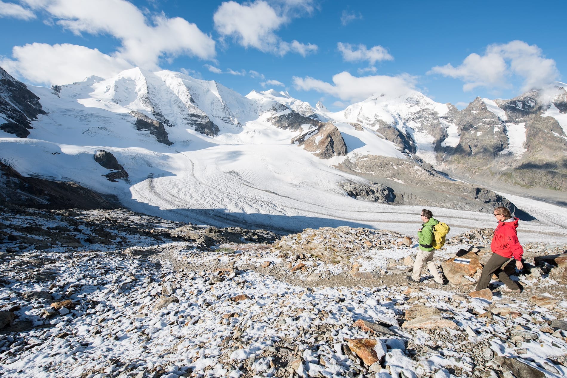 Bernina Glaciers