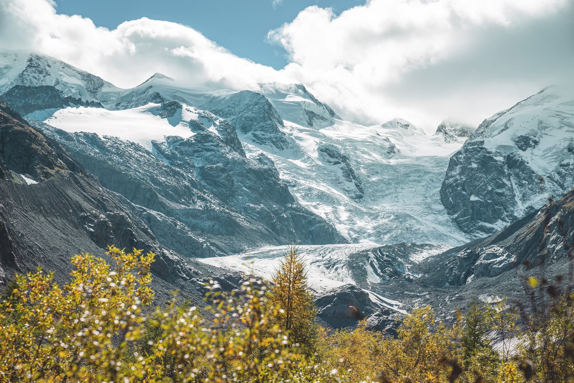 Bernina Glaciers