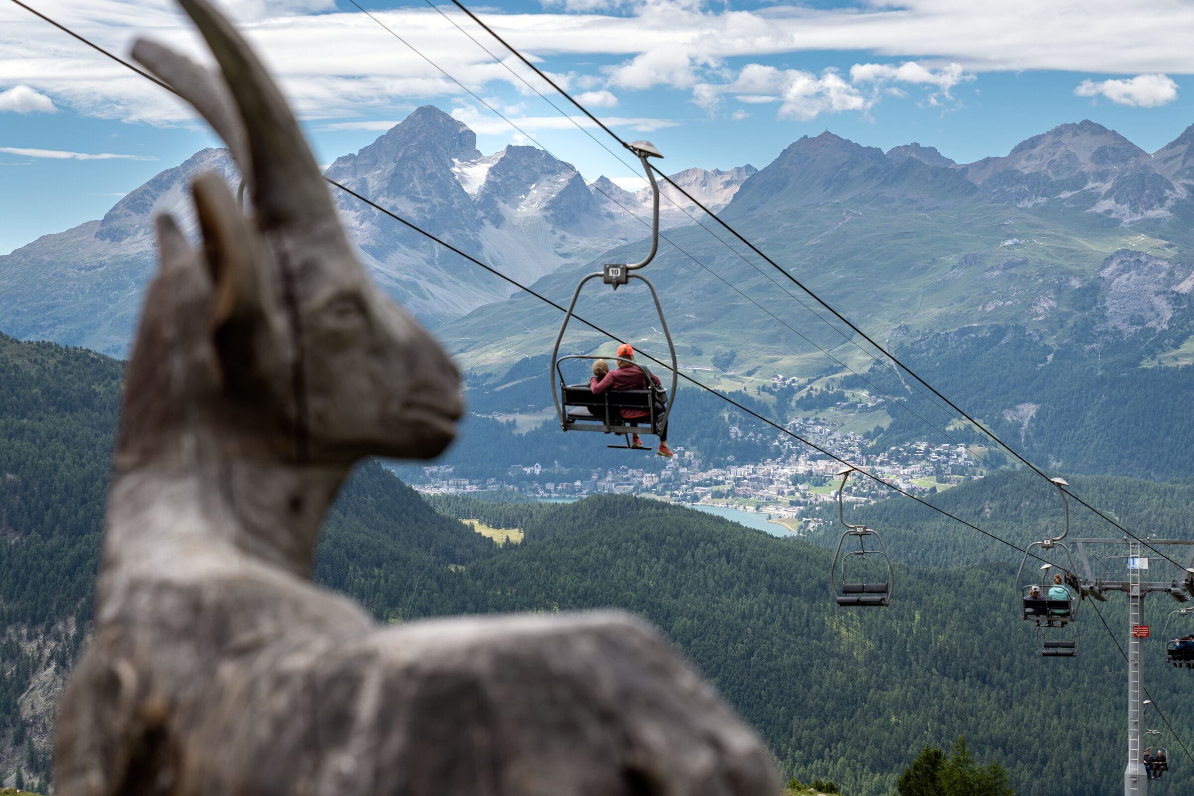 Ibex paradise Pontresina
