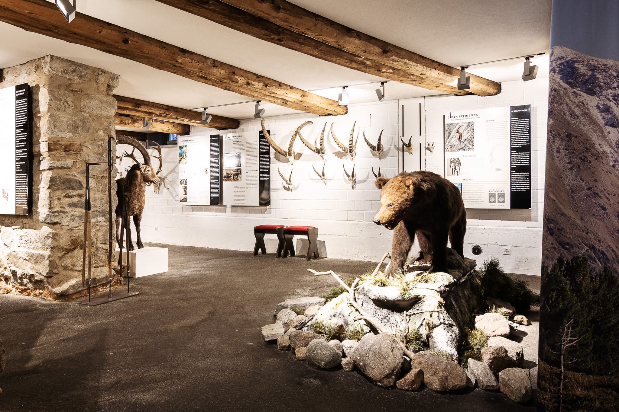 Museum Alpin Pontresina