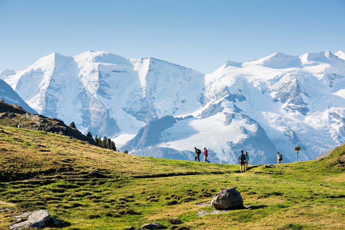 Alp Languard - Segantini Hut - Muottas Muragl