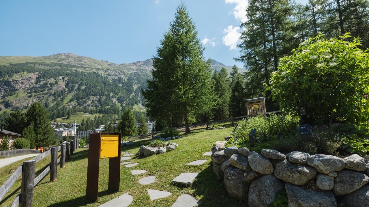 Ricola Kräutergarten und Taiswald