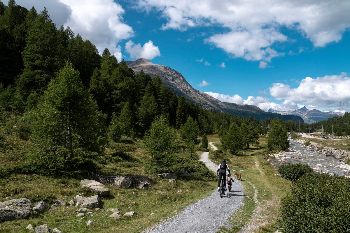 Bernina Trail