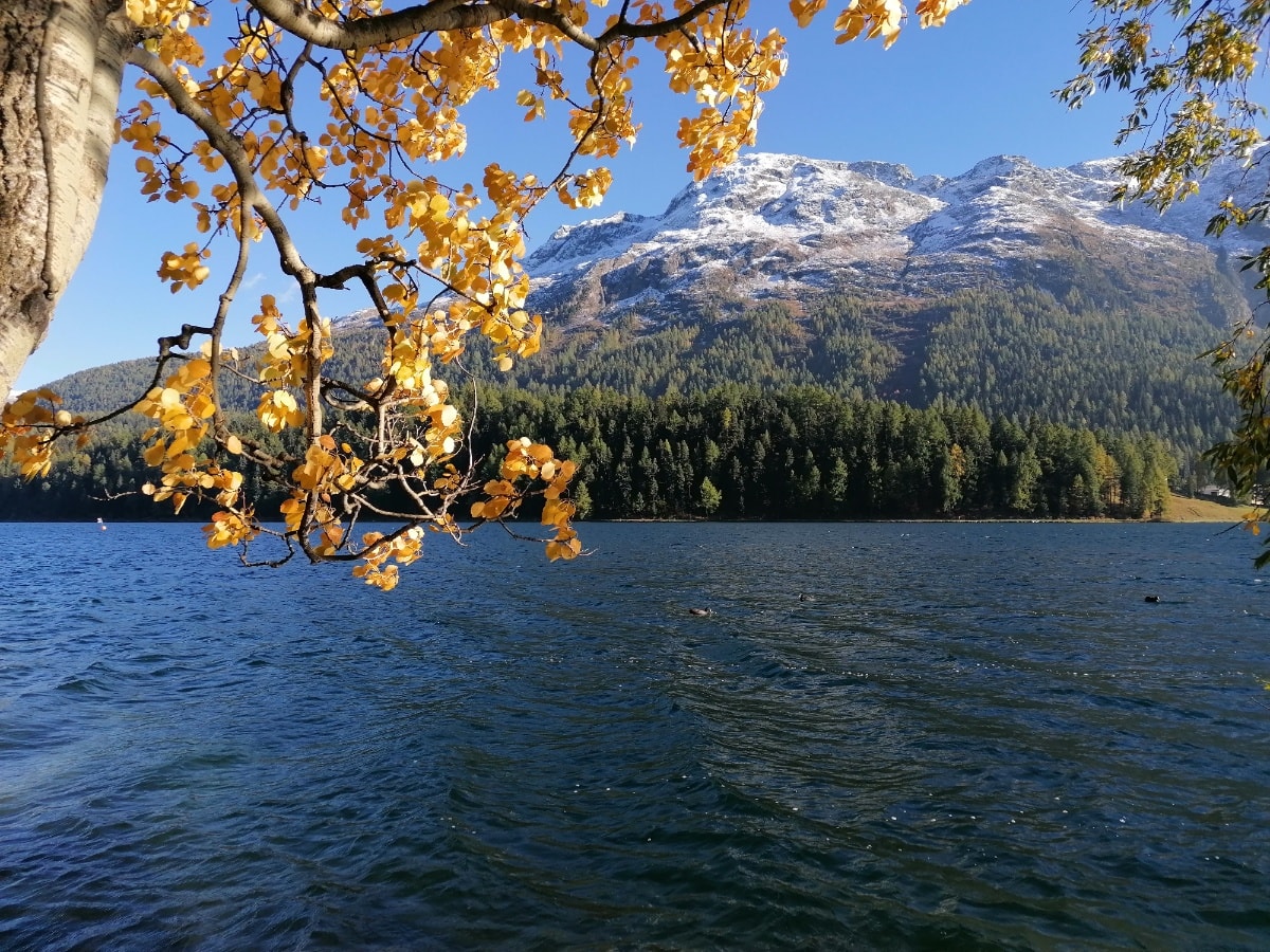 Emerald Trail St. Moritz - Sils